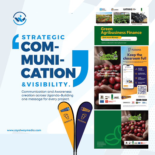 Strategic Communication & Visibility